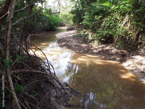 Ilha do Marajo, Amazonia, Brasil photo