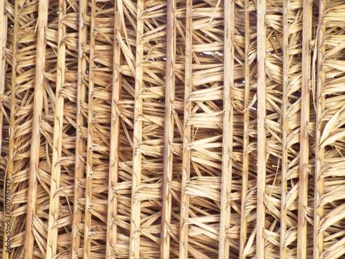 Ilha do Marajo, Amazonia, Brasil photo