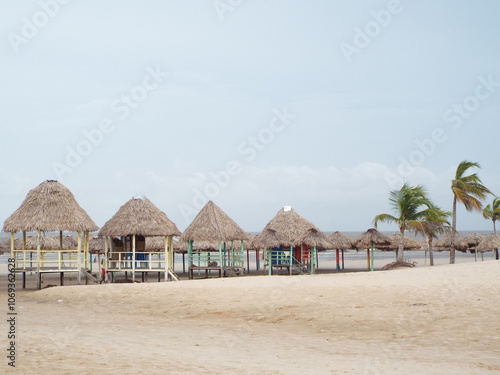 Ilha do Marajo, Amazonia, Brasil photo