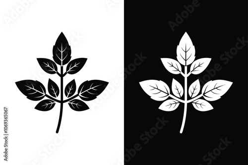 Oregano vegetable icon  on White Background Vector Art Illustration on white background.	