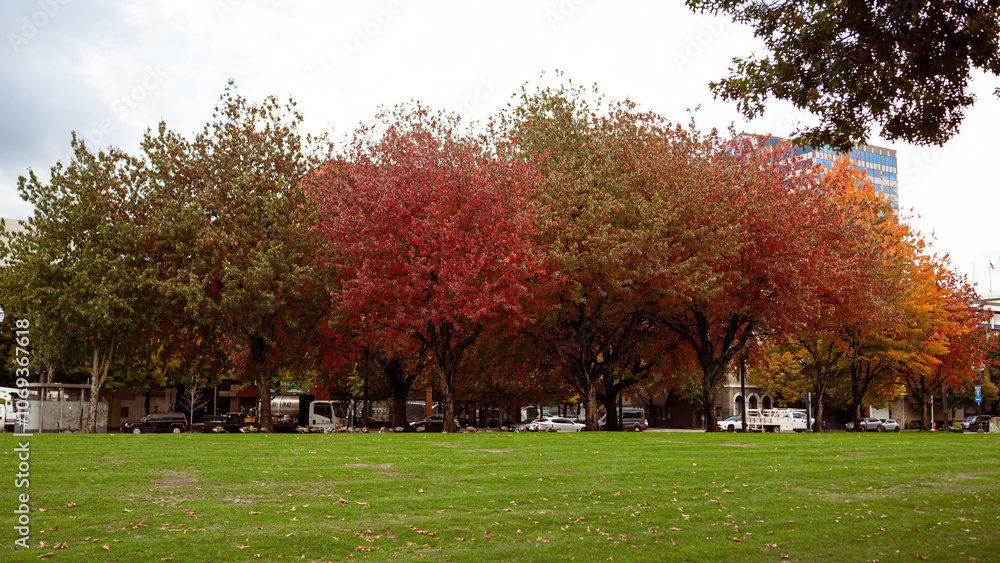 Naklejka premium Autumn urban cityscapes in the Pacific Northwest