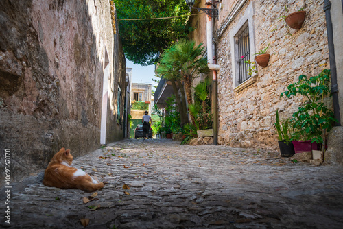 Cat resting on the old narrow streets of Erice town in Sicily, Italy. Travel and sightseeing journey concept. Selective focus