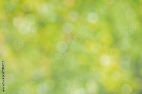 Natural defocus light background. Blurred leaves on trees.