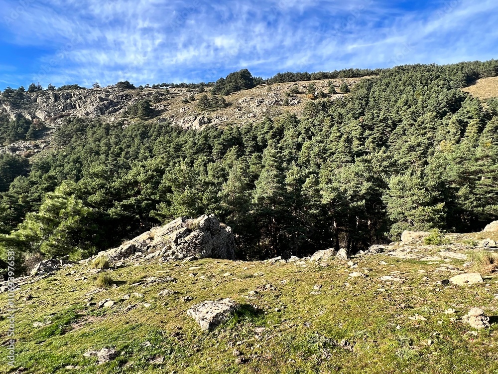 hilly landscape with trees near Madrid hilly landscape with trees near Madrid