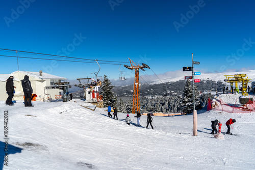 In Uludağ, people riding chairlift (teleski) on and ski among the pine trees. Uludağ is the most important ski resort in Turkey.