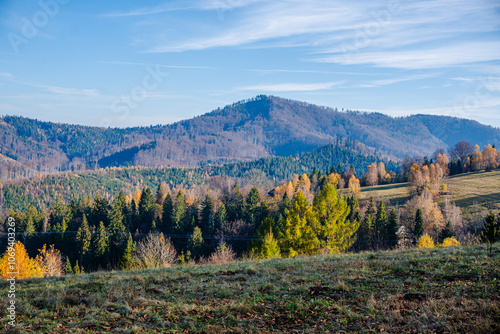 Fototapeta Naklejka Na Ścianę i Meble -  Góry, Beskid Śląski w Polsce. Stożek, góra na granicy Polsko-Czeskiej, panorama jesienią z lotu ptaka.