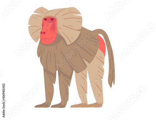 Cartoon baboon standing upright with red face and detailed fur features. Suitable for nature-themed designs, wildlife education, or zoological illustrations. Vector illustration