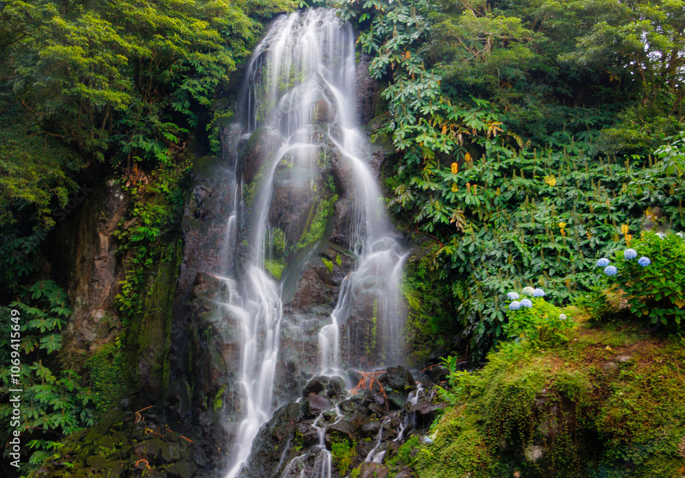 Naklejka premium Green luxury. Forests and Waterfalls