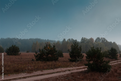 Misty landscape in the forest, Volyn, Shatsky lake, Ukraine. photo