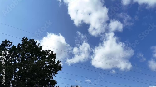 clouds blue sky and tree tops