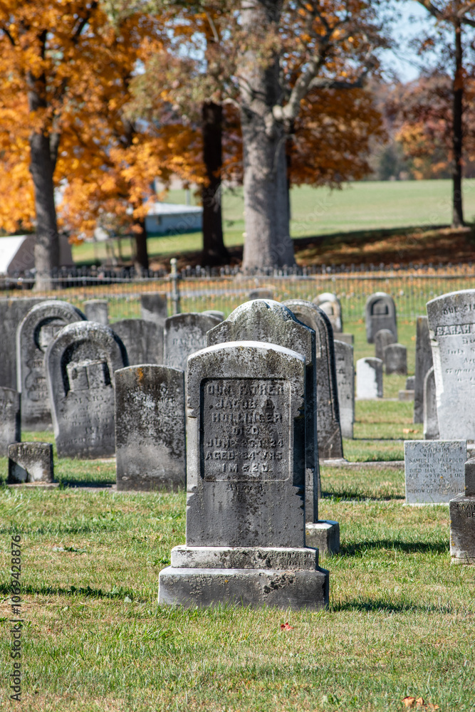 Fototapeta premium cemetery in the fall