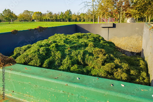 mown grass in dumpster in the field