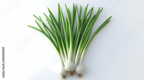 A bunch of fresh green onions arranged on a white background.