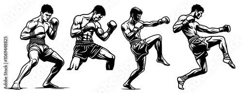 boxer in ready stance with detailed muscular line art