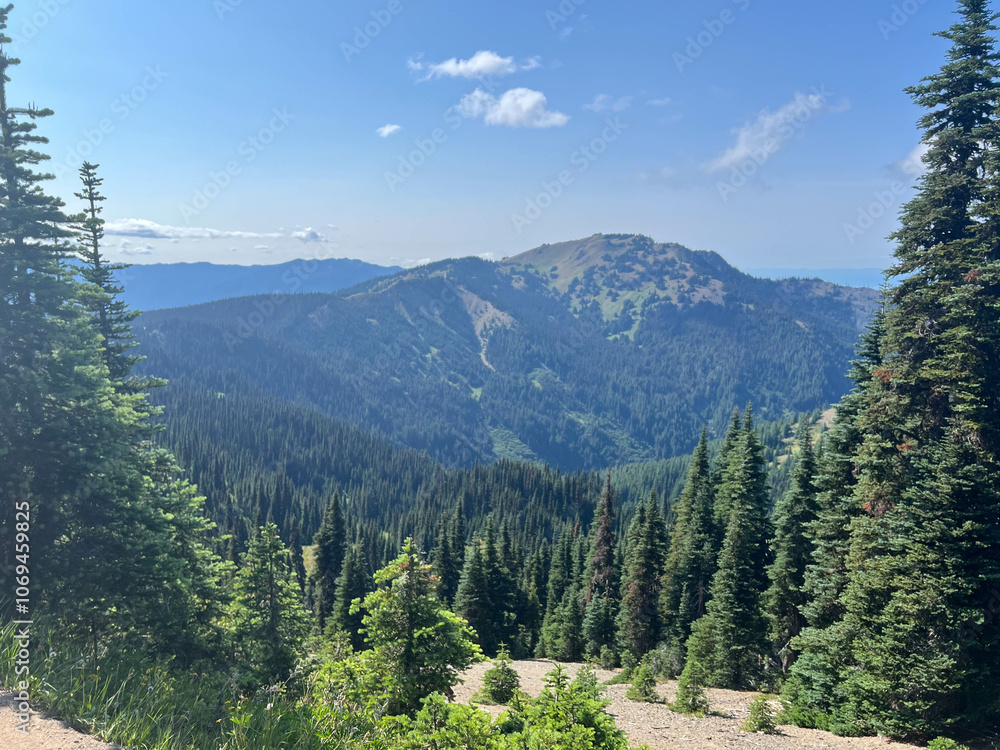 Fototapeta premium Mountains at Olympic National Park in Washington on a sunny day with clear skies. 