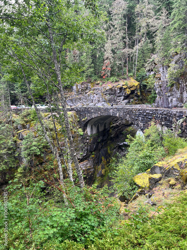 Waterfall and bridge at Mt.Rainier.  photo