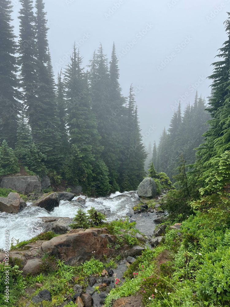 Obraz premium Waterfall going down the mountain at Mt.Rainier, Washington on a cloudy day.