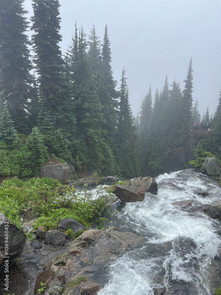 Obraz premium Waterfall going down the mountain at Mt.Rainier, Washington on a cloudy day.
