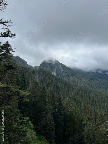 Forest and mountains at Mt.Rainier in Washington on a cloudy day.