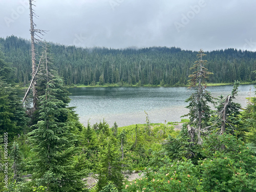 Lake at Mt.Rainier on a cloudy day.  photo