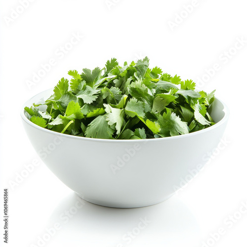 A bowl of fresh cilantro leaves, isolated on a white background, showcasing a flavorful herb photo