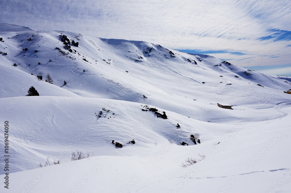 custom made wallpaper toronto digitalmontagne