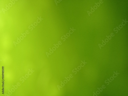 Close up of green colour with blur background 