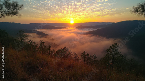 Stunning sunrise over misty mountains, golden light illuminating landscape