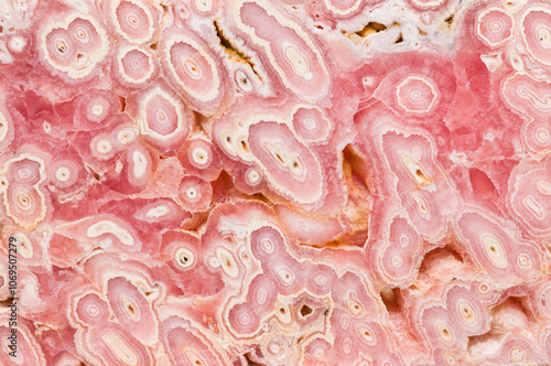 Close-up image of patterned pink Rhodochrosite mineral