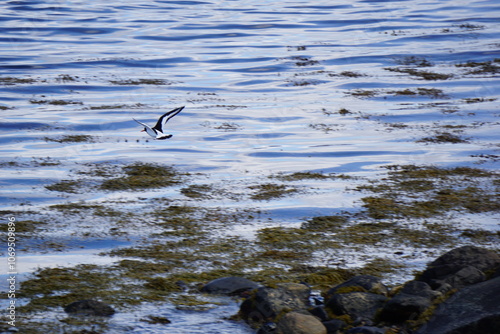 2024.04.21 Gjemnes, Angvika, Hjelset