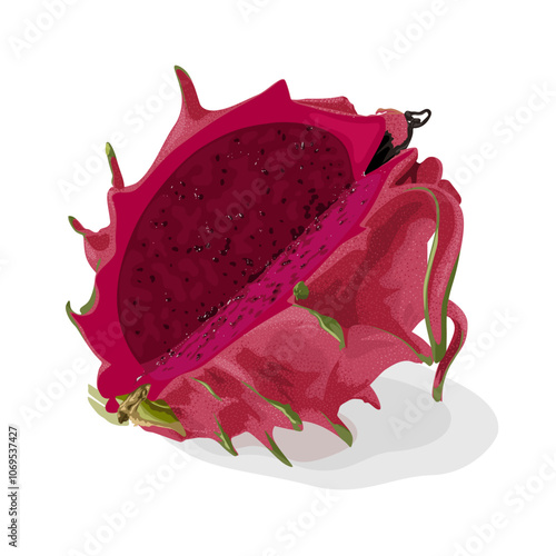 Illustration of red dragon fruit or pitaya, isolated on white background.