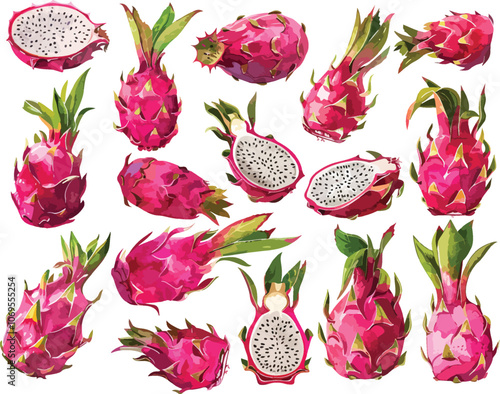 dragon fruit watercolor clipart