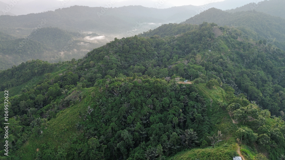 Aerial view of green mountain and forest. Nature landscape background. Aerial view of green mountain and forest. Nature landscape background.