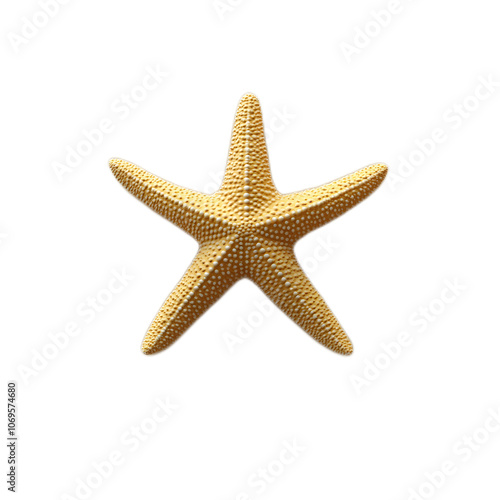 Yellow Starfish on White Background photo