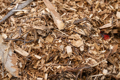 Valokuva pile of woodchips to spread as mulch or make compost