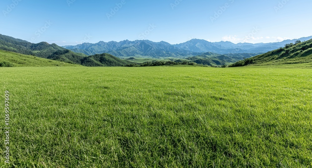 Lush green meadow with mountain range in the background Lush green meadow with mountain range in the background