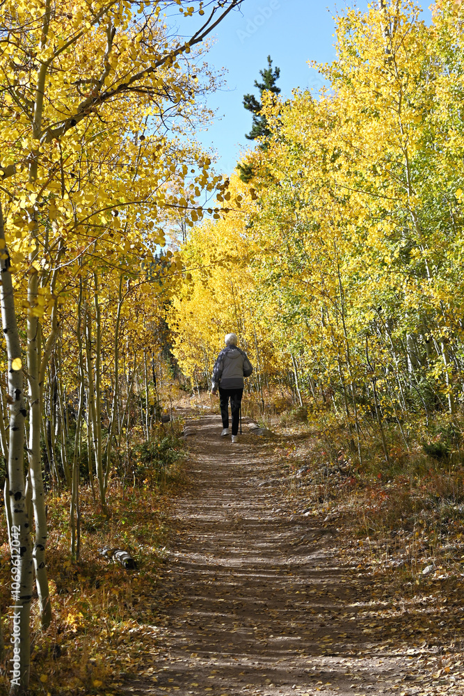Unidentified Hiker in the Fall Unidentified Hiker in the Fall