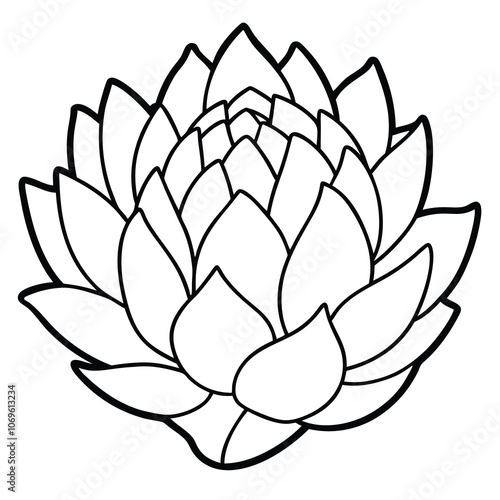 Hand-drawn artichoke vector illustration