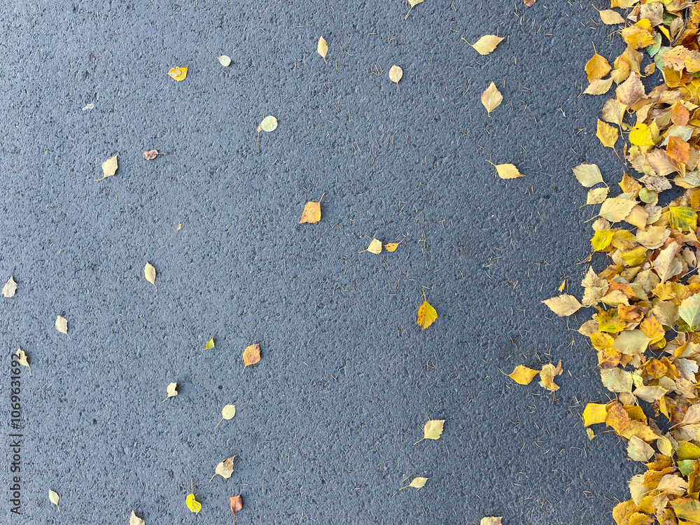 A grey road with leaves scattered across it.There is space for text. Autumn background. A grey road with leaves scattered across it.There is space for text. Autumn background.