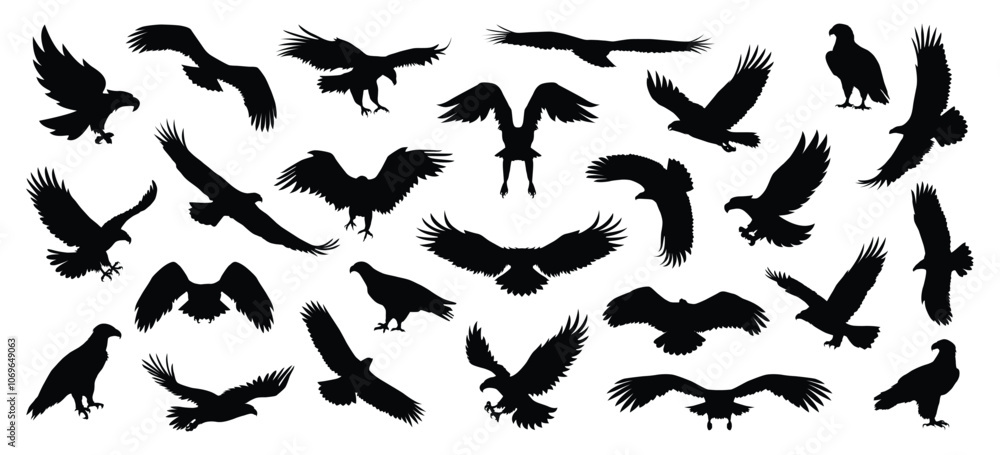Fototapeta premium eagle silhouette set, flying eagle silhouette vector