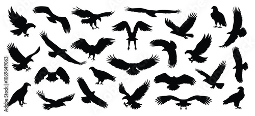 eagle silhouette set, flying eagle silhouette vector
