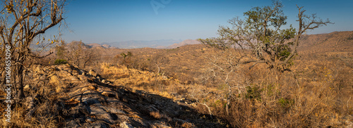 Tableau sur toile bushveld and savanna landscape is an open savanna dominated by many Acacia thorn trees