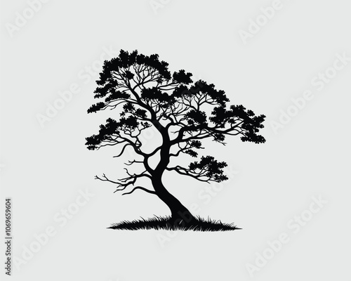 Black Color cherry tree Silhouette Vector Illustration, Solid White Background.