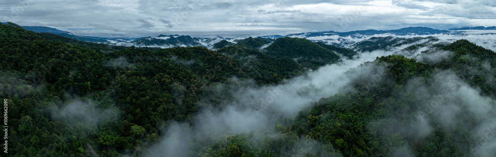 aerial view landscape rain forest and mist cover mountain valley, drone photography panorama. aerial view landscape rain forest and mist cover mountain valley, drone photography panorama.