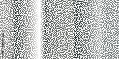 Abstract Reaction-diffusion Turing pattern natural texture Silber gradient color scheme. Linear design with biological algorithm psychedelic background. Reaction-diffusion or truing patter