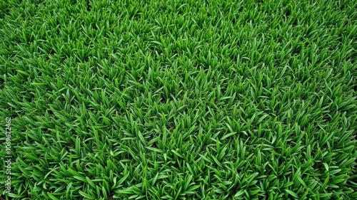 Lush green synthetic lawn perfect for outdoor landscaping projects, garden, eco-friendly