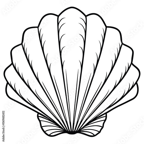 Hand-drawn scallop vector Isolated scallop on white background