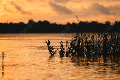 Beautiful Landscape Sunset,...