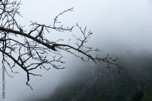 Ha Giang, Vietnam January 9, 2024: White clouds cover the mountains rocky Global Geopark in Ha Giang, Vietnam photo