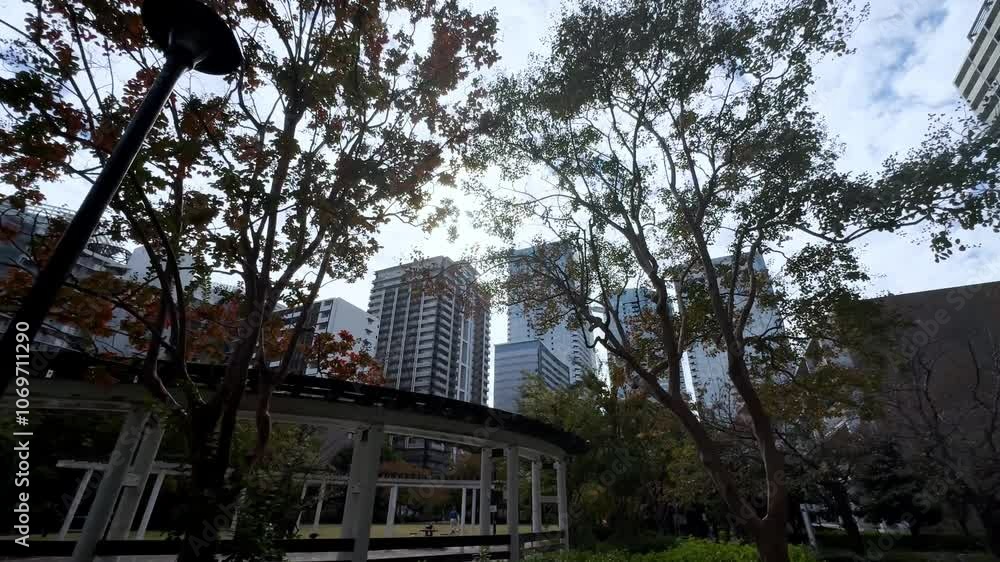 Autumn trees and modern skyscrapers in a sunny urban park in Tokyo with scattered clouds overhead Autumn trees and modern skyscrapers in a sunny urban park in Tokyo with scattered clouds overhead